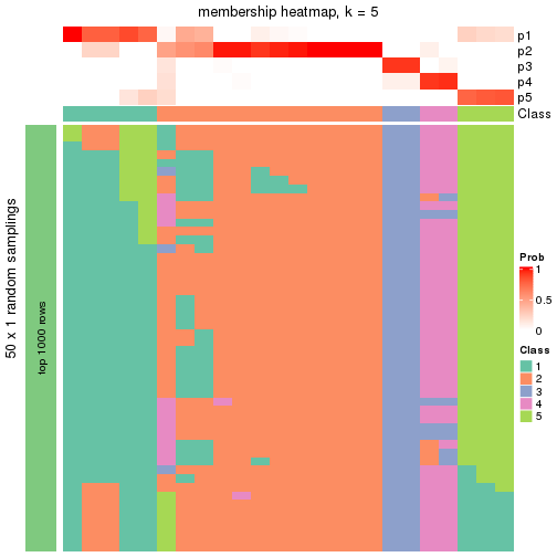 plot of chunk tab-node-04113-membership-heatmap-4