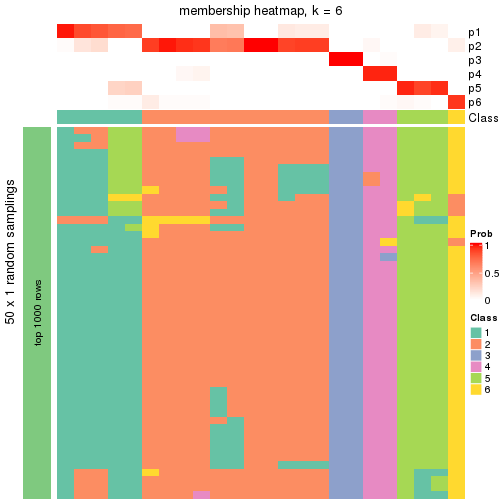 plot of chunk tab-node-04113-membership-heatmap-5