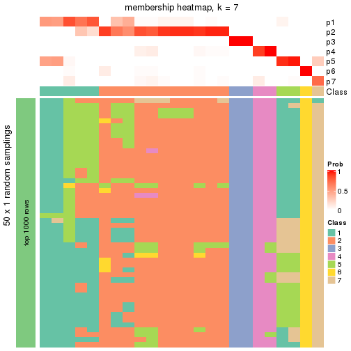 plot of chunk tab-node-04113-membership-heatmap-6