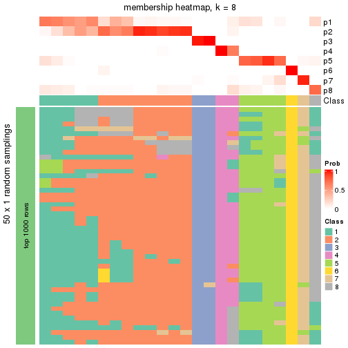 plot of chunk tab-node-04113-membership-heatmap-7