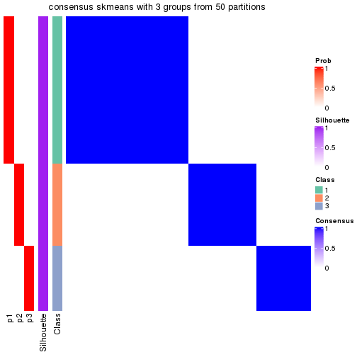 plot of chunk tab-node-0413-consensus-heatmap-2