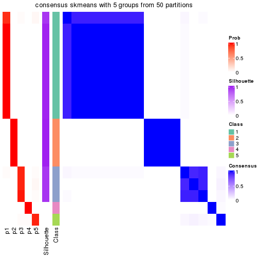 plot of chunk tab-node-0413-consensus-heatmap-4