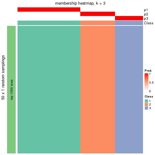 plot of chunk tab-node-0413-membership-heatmap-2