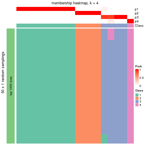 plot of chunk tab-node-0413-membership-heatmap-3