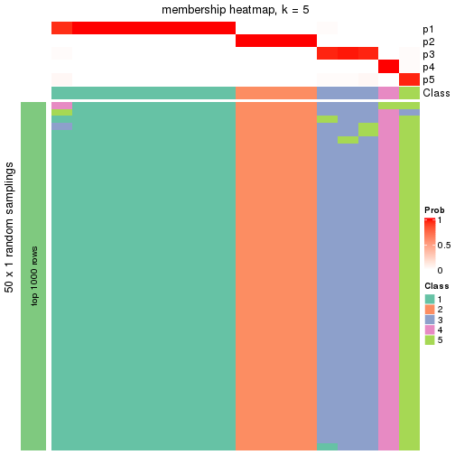 plot of chunk tab-node-0413-membership-heatmap-4