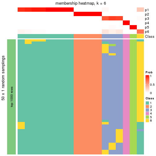 plot of chunk tab-node-0413-membership-heatmap-5