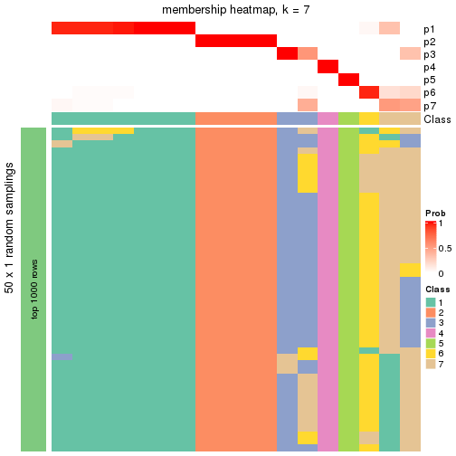 plot of chunk tab-node-0413-membership-heatmap-6