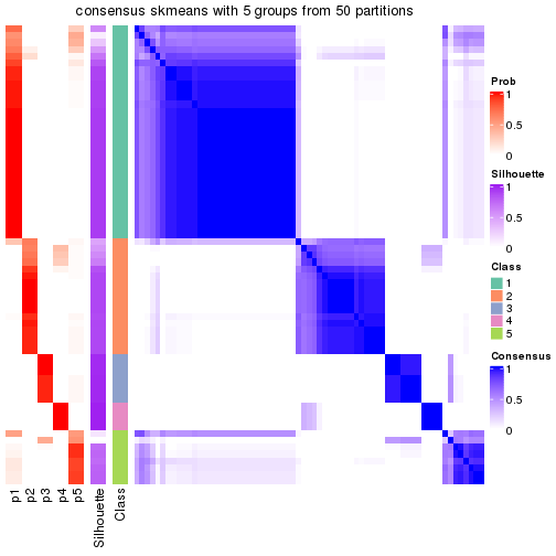 plot of chunk tab-node-042-consensus-heatmap-4