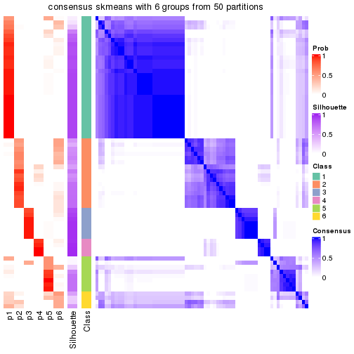 plot of chunk tab-node-042-consensus-heatmap-5