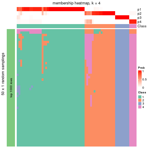 plot of chunk tab-node-042-membership-heatmap-3