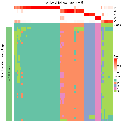 plot of chunk tab-node-042-membership-heatmap-4