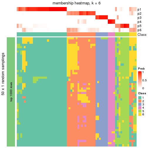 plot of chunk tab-node-042-membership-heatmap-5