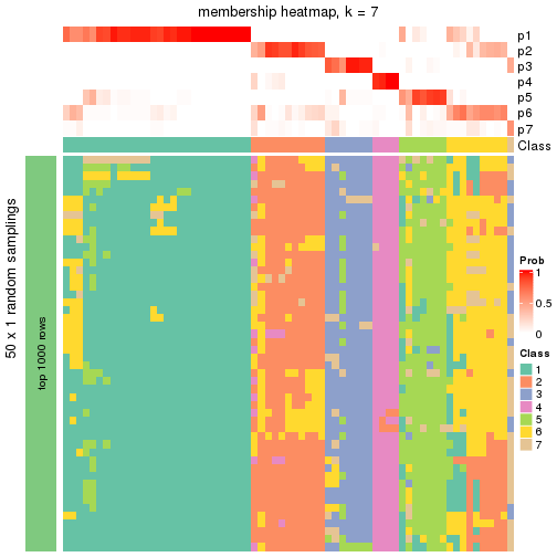 plot of chunk tab-node-042-membership-heatmap-6