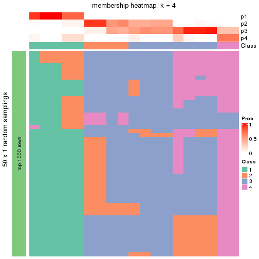 plot of chunk tab-node-0422-membership-heatmap-3