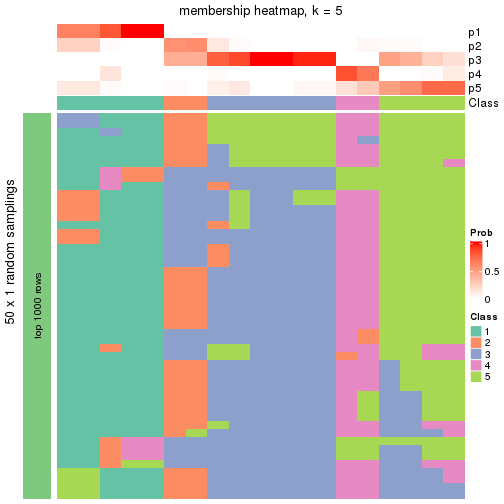 plot of chunk tab-node-0422-membership-heatmap-4