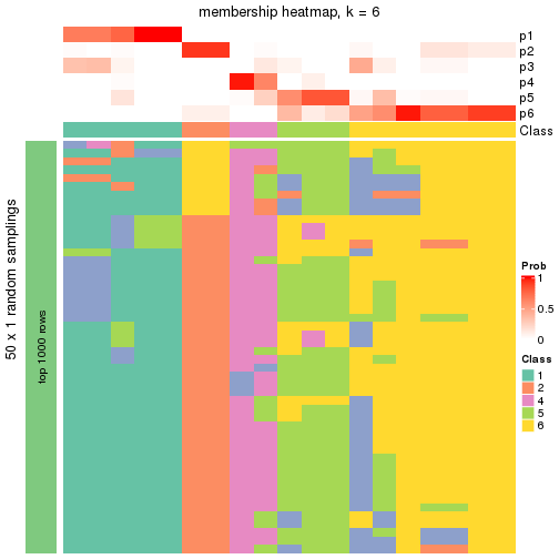 plot of chunk tab-node-0422-membership-heatmap-5