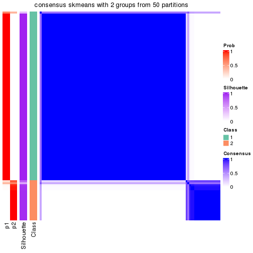 plot of chunk tab-node-043-consensus-heatmap-1