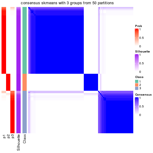 plot of chunk tab-node-043-consensus-heatmap-2