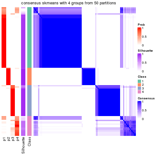 plot of chunk tab-node-043-consensus-heatmap-3