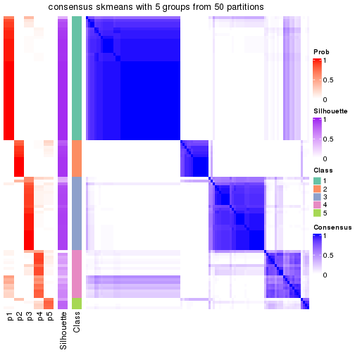 plot of chunk tab-node-043-consensus-heatmap-4