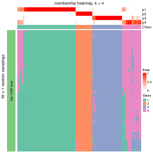 plot of chunk tab-node-043-membership-heatmap-3