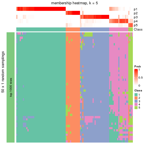 plot of chunk tab-node-043-membership-heatmap-4