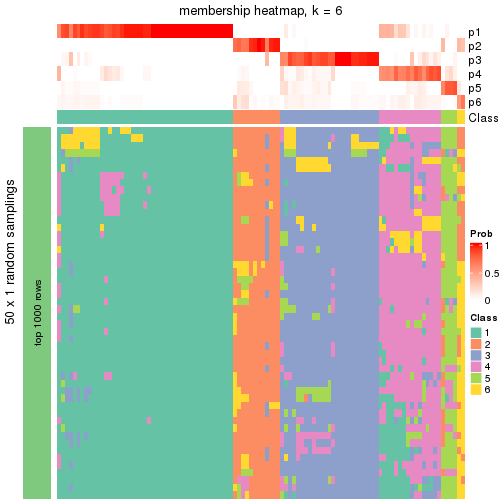 plot of chunk tab-node-043-membership-heatmap-5