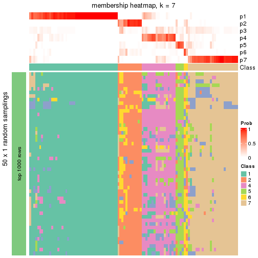 plot of chunk tab-node-043-membership-heatmap-6