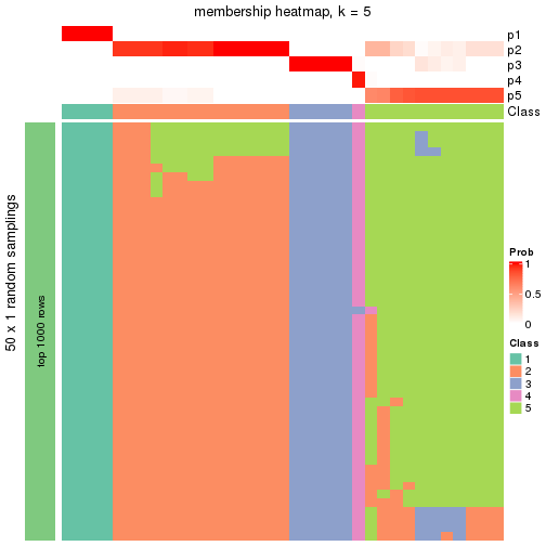 plot of chunk tab-node-0433-membership-heatmap-4