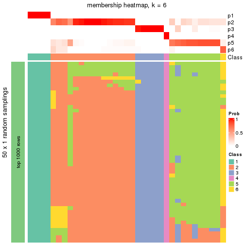 plot of chunk tab-node-0433-membership-heatmap-5