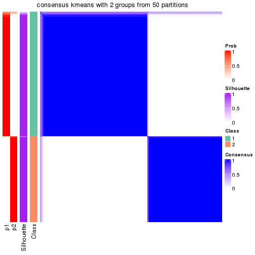 plot of chunk tab-node-0-consensus-heatmap-1