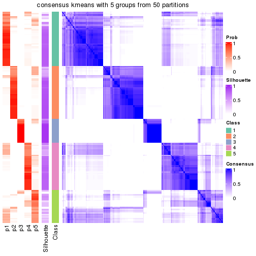 plot of chunk tab-node-0-consensus-heatmap-4