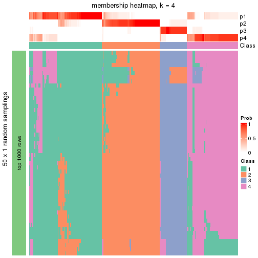 plot of chunk tab-node-0-membership-heatmap-3