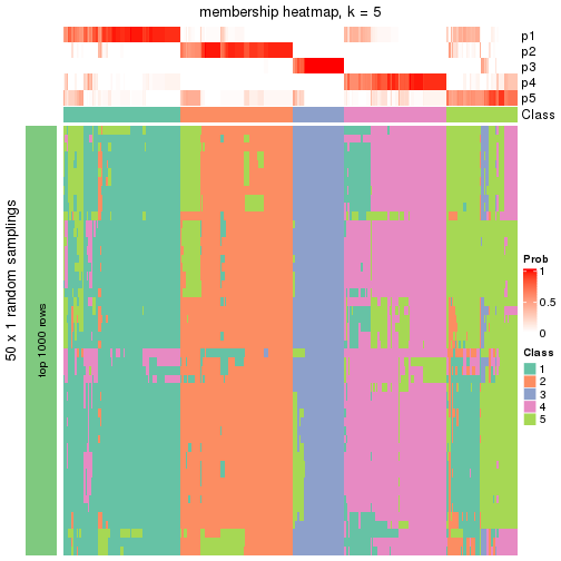 plot of chunk tab-node-0-membership-heatmap-4