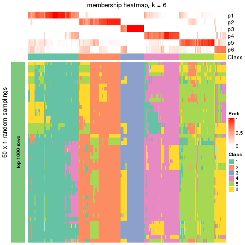 plot of chunk tab-node-0-membership-heatmap-5