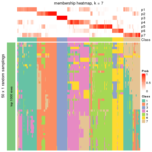 plot of chunk tab-node-0-membership-heatmap-6