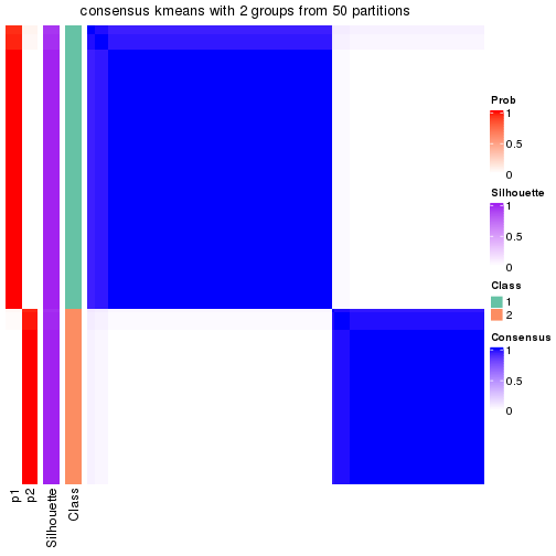 plot of chunk tab-node-01-consensus-heatmap-1