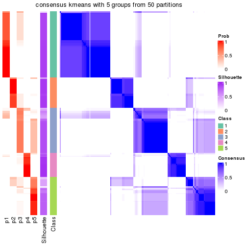 plot of chunk tab-node-01-consensus-heatmap-4