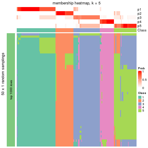 plot of chunk tab-node-01-membership-heatmap-4