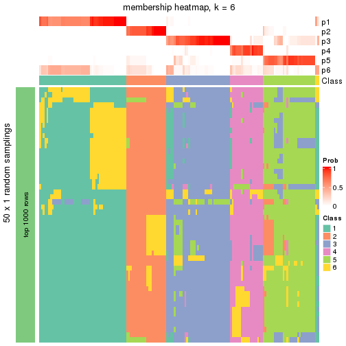 plot of chunk tab-node-01-membership-heatmap-5