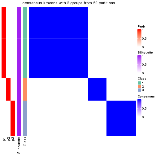 plot of chunk tab-node-011-consensus-heatmap-2