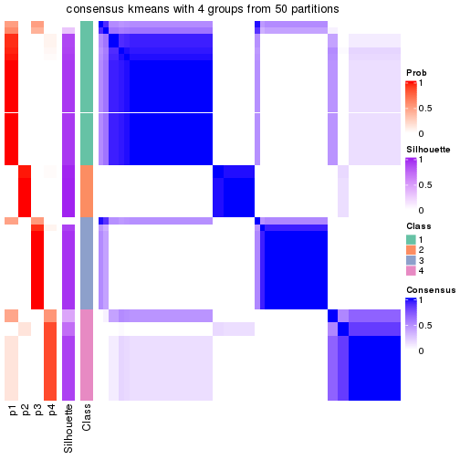 plot of chunk tab-node-011-consensus-heatmap-3