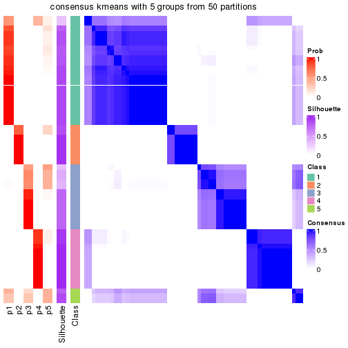 plot of chunk tab-node-011-consensus-heatmap-4