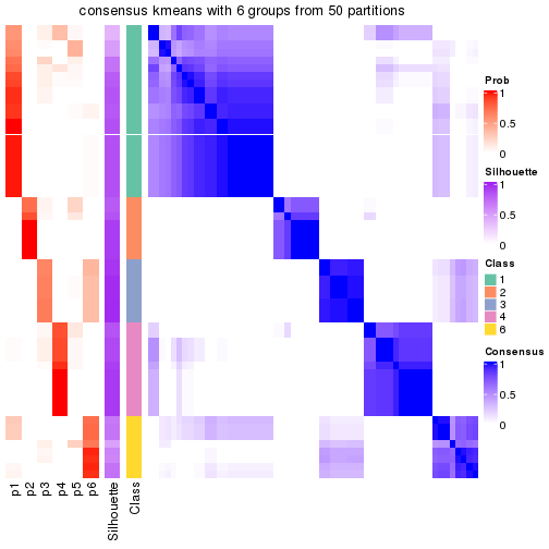 plot of chunk tab-node-011-consensus-heatmap-5