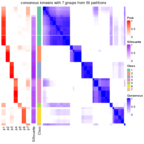 plot of chunk tab-node-011-consensus-heatmap-6