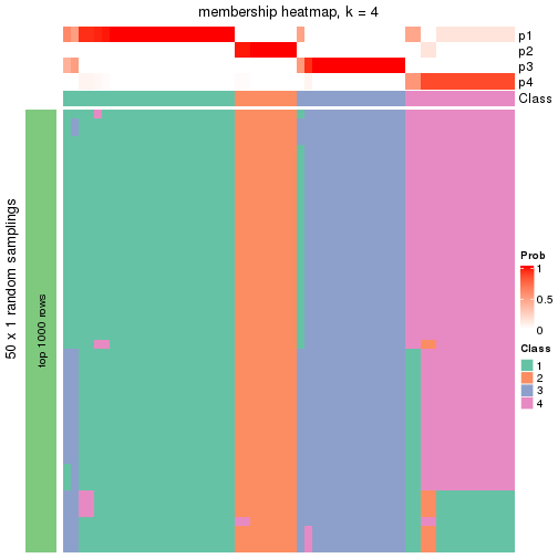 plot of chunk tab-node-011-membership-heatmap-3