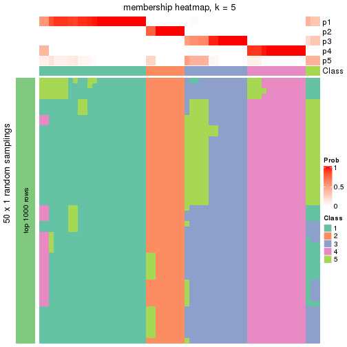 plot of chunk tab-node-011-membership-heatmap-4