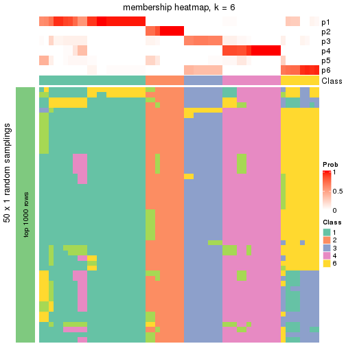 plot of chunk tab-node-011-membership-heatmap-5