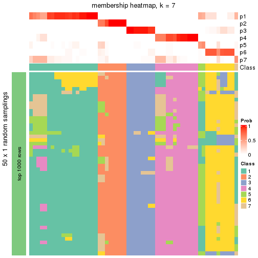 plot of chunk tab-node-011-membership-heatmap-6