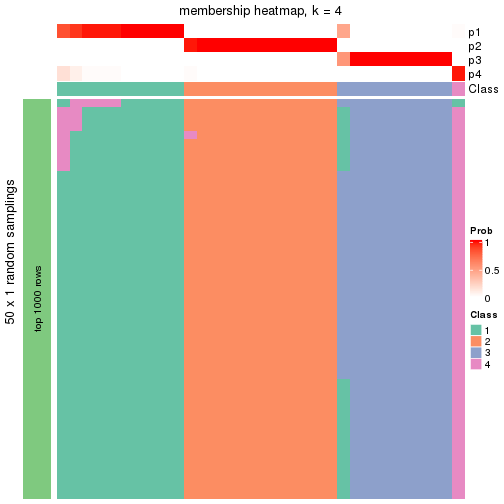 plot of chunk tab-node-0111-membership-heatmap-3